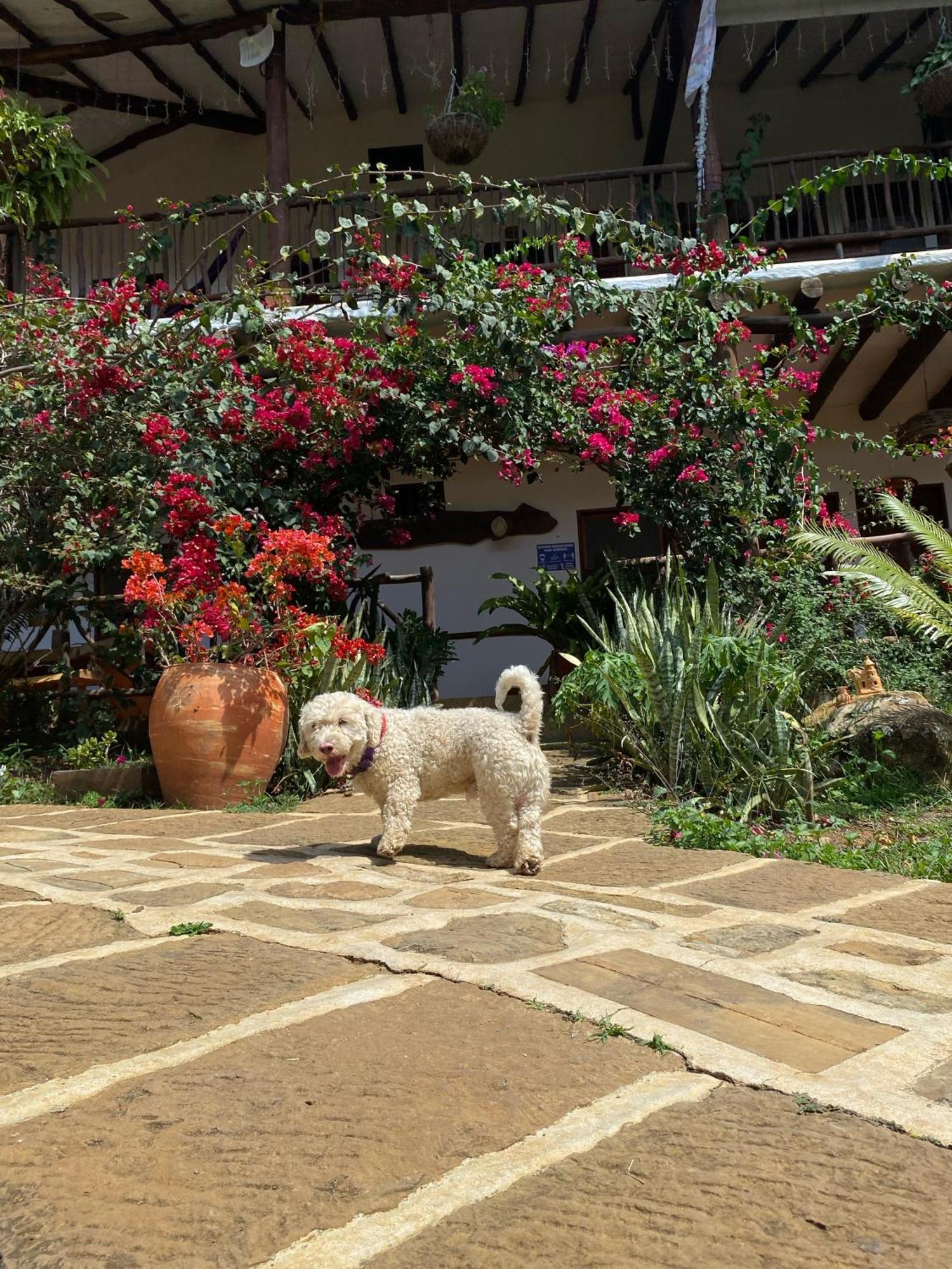 Hostal Villa San Rafael Barichara Exterior foto